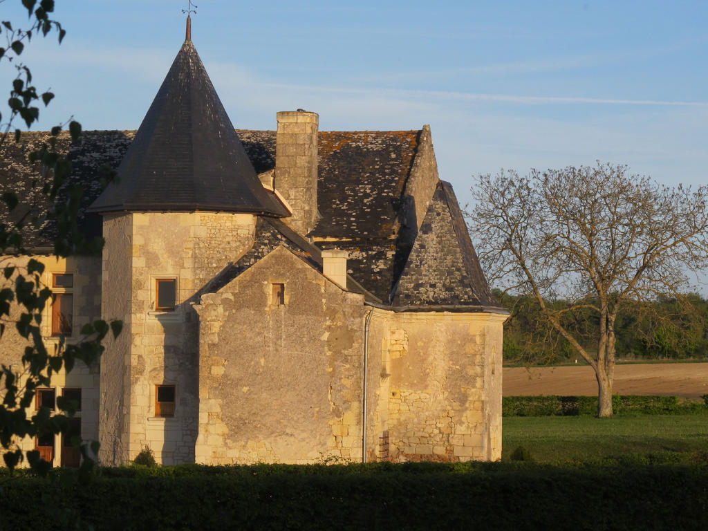 Bed and Breakfast Manoir Du Bois Noblet Louerre Exterior foto