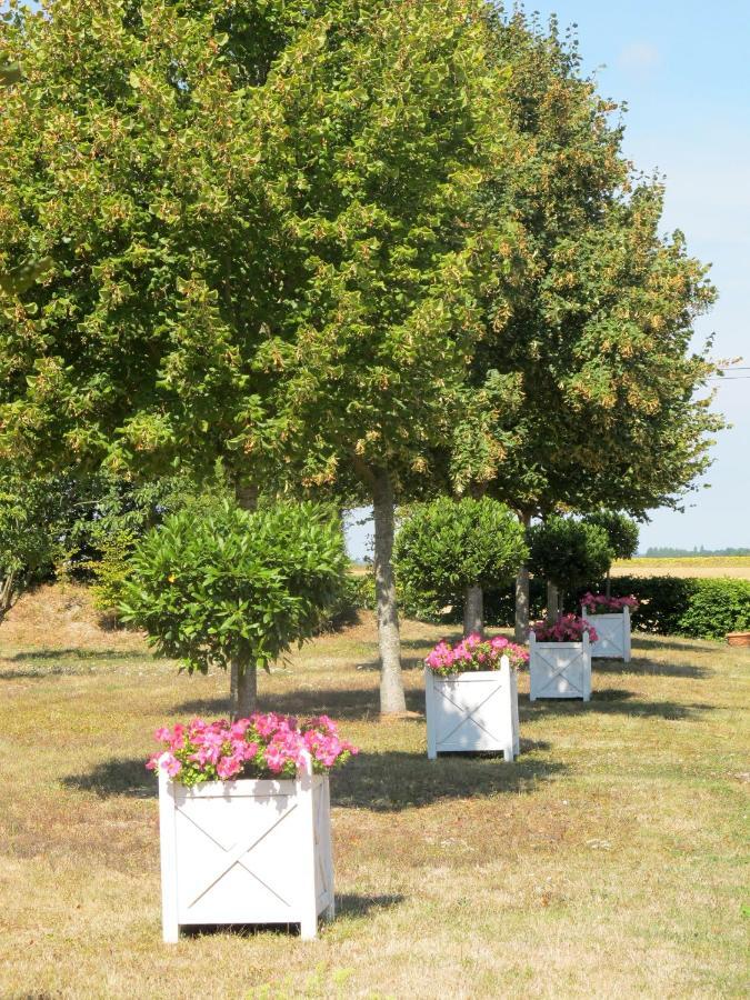 Bed and Breakfast Manoir Du Bois Noblet Louerre Exterior foto